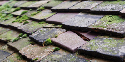 Tre Gynwr roof repair costs